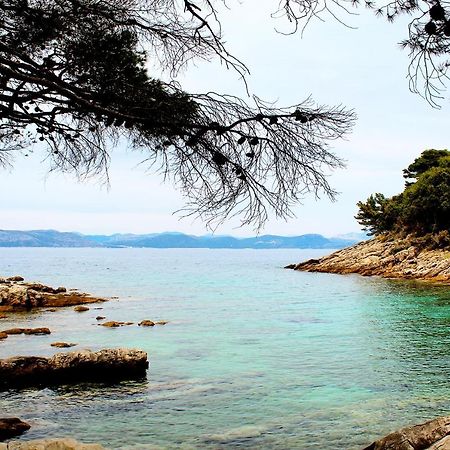 Apartment Marija Mljet 4 Sobra Екстериор снимка